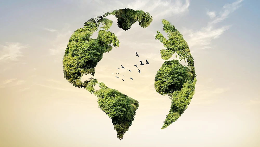 Are there ways to replace plastic?