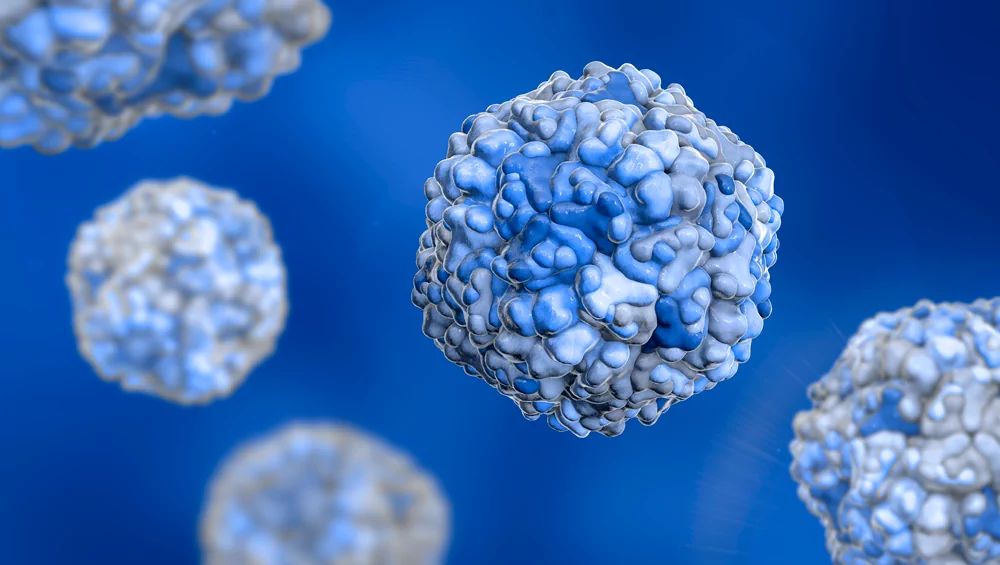 Coxsackievirus