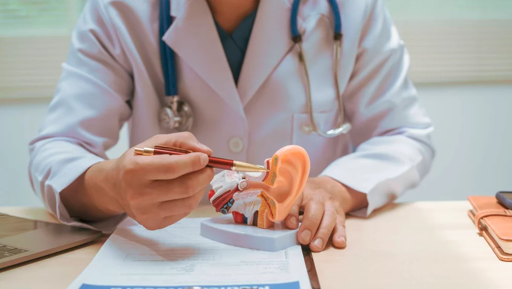 Hearing Aids and Hearing Rehabilitation: How Modern Hearing Restoration Works